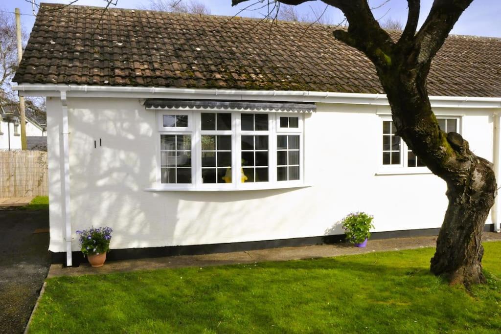 Ocean Breeze, Gower Holiday Village. Allows Dogs Swansea Esterno foto